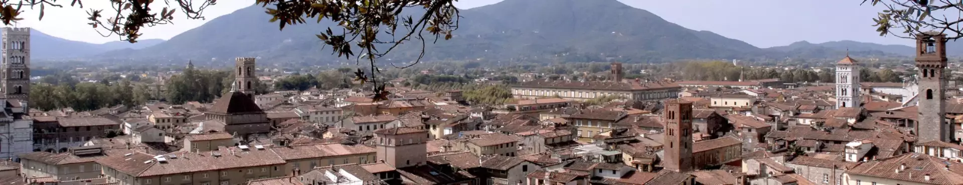 tetti di lucca dalla torre guinigi