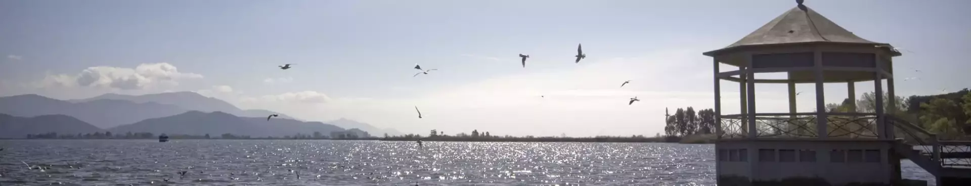 il lago di torre del lago puccini